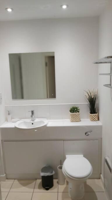 Piquancy Apartments - Sheffield City Centre Εξωτερικό φωτογραφία